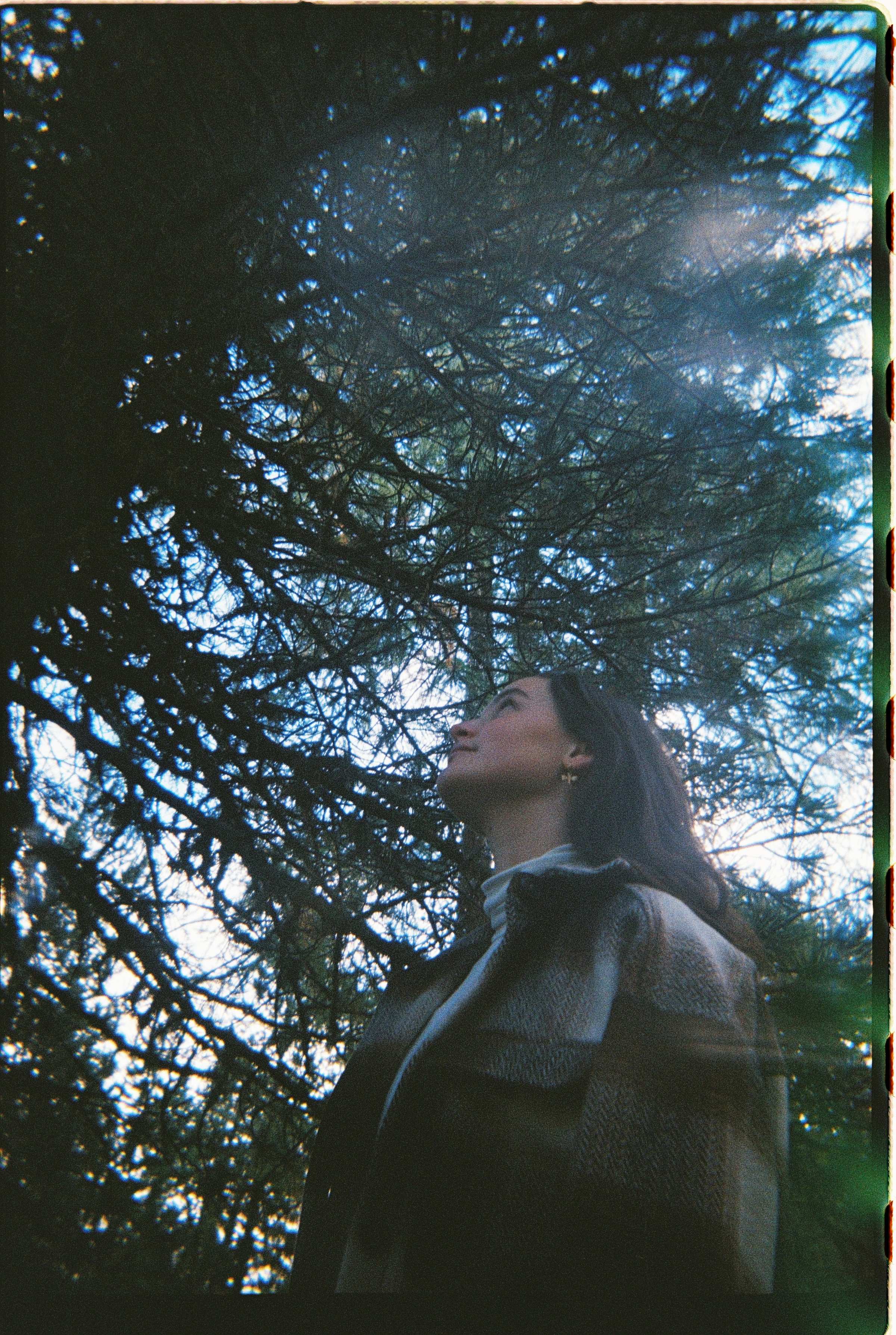 Nadine